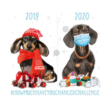 Discover Funny Dachshund Christmas Face Mask Bye Bye