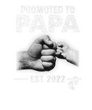 Discover New Papa Soon To Be Promoted To Papa 2022