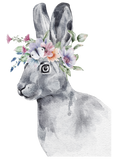 Discover Rabbit With Flowers On Head