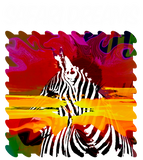 Discover African Safari Zebra Dream