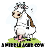 Discover Middle Aged Cow