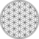 Discover flower of life sacred geometry symbol ancient zen