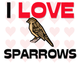 Discover I Love Sparrows