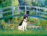 Discover Rat Terrier - Bridge