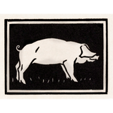 Discover Pig by Julie de Graag - Black and White Polo