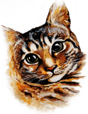 Discover Stray Cat Portrait Watercolor Artwork