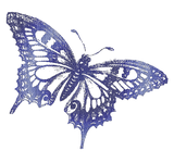 Discover Pretty Blue Swallowtail Butterfly Mosaic