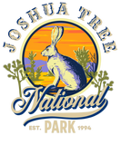 Discover Joshua Tree National Park American Desert Hare