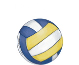Discover Volleyball, Go Team Customizable
