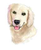 Discover Dogs 365 Cute Golden Retriever Dog Animal Pet Gift