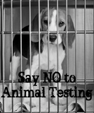 Discover Anti Animal Testing Beagle Ladies Basic
