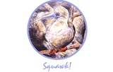 Discover Seabird (Vivid Color choices)