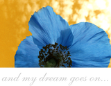 Discover BLUE POPPY Flower Dream Golden any Text