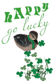 Discover Duck Clover Happy Go Lucky St Patrick's Day Wo