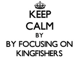 Discover Keep calm by focusing on Kingfishers
