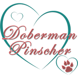 Discover Doberman Pinscher Lovers
