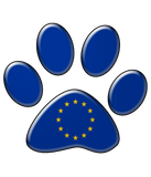 Discover European patriotic cat