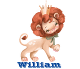 Discover Custom Baby Lion King