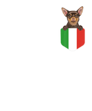 Discover Italy Flag Brown Chihuahua Dog In Pocket