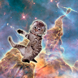 Discover Fat cat astronaut