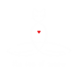 Discover The Tao Of Meow - Fancy style text.