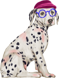 Discover Hand-painted Dashing Dalmatian Spotted Dog