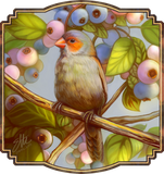 Discover Orange cheeked waxbill finch with blueberries
