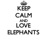 Discover Keep calm and Love Elephants