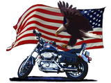 Discover Wild & Free - Patriotic Eagle, Motorbike & US Flag