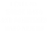 Discover Mayo Neighs Cinco de Mayo