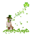 Discover Pitbull Dog Funny Shamrock St. Patrick's Day