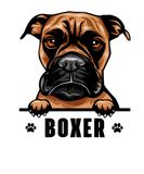 Discover Dogs 365 Boxer Dog Vintage I Love My Boxer Funny D