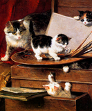 Discover Mother Cat and Kittens on Table
