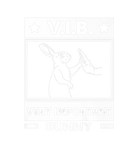 Discover V.I.B. Very Important Bunny Best Friends Rabbit