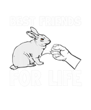 Discover Rabbit Slogan Rabbit Lovers Best Friends For Life
