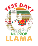 Discover Vintage Test Day No Prob-Llama Llama Teacher Testi