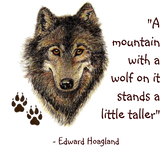 Discover Wolf & Tracks with Quote, Wildlife, Animal