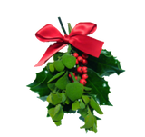 Discover Mistletoe Kiss Below the Belt Christmas