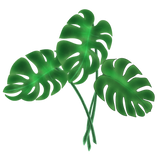 Discover Monstera leaf plant botanical nature art