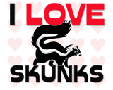 Discover I Love Skunks