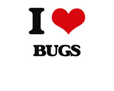 Discover I Love Bugs