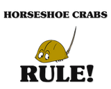 Discover HORSESHOE CRABS Rule!