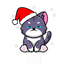 Discover NO! Merry Christmas Funny Cat Pet Lovers