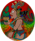 Discover Yucatan Psychedelic Mexicano Visiones