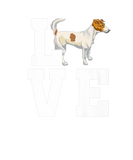 Discover Love Jack Russel Terrier Owner Dog Breed Dogs Owne