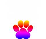 Discover I Rescue FIV Cats What’s Your Superpower Wo