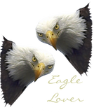 Discover Wild Bald Eagle EAGLE LOVER s