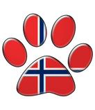 Discover Norwegian patriotic cat