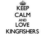 Discover Keep calm and Love Kingfishers