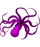 Discover Vintage Violet Octopus Design